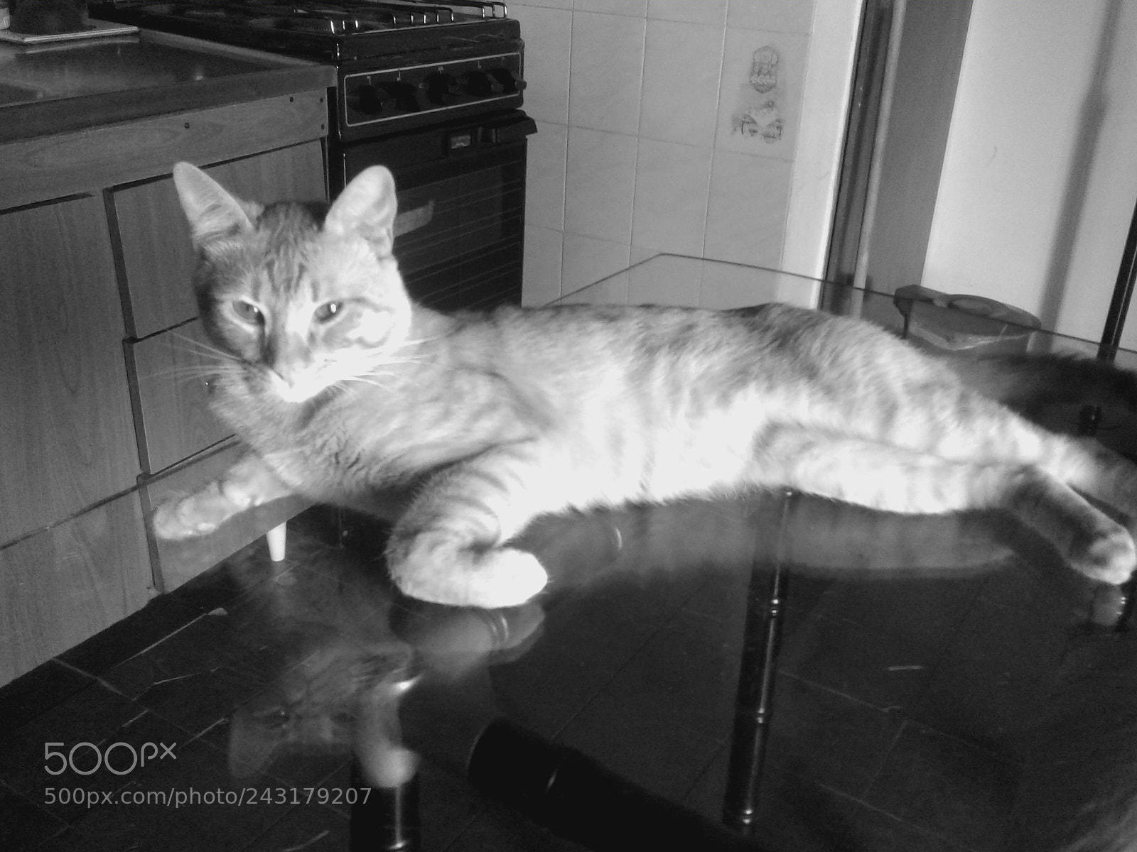 Samsung Galaxy J1 Ace sample photo. Ulises tranquilo... photography