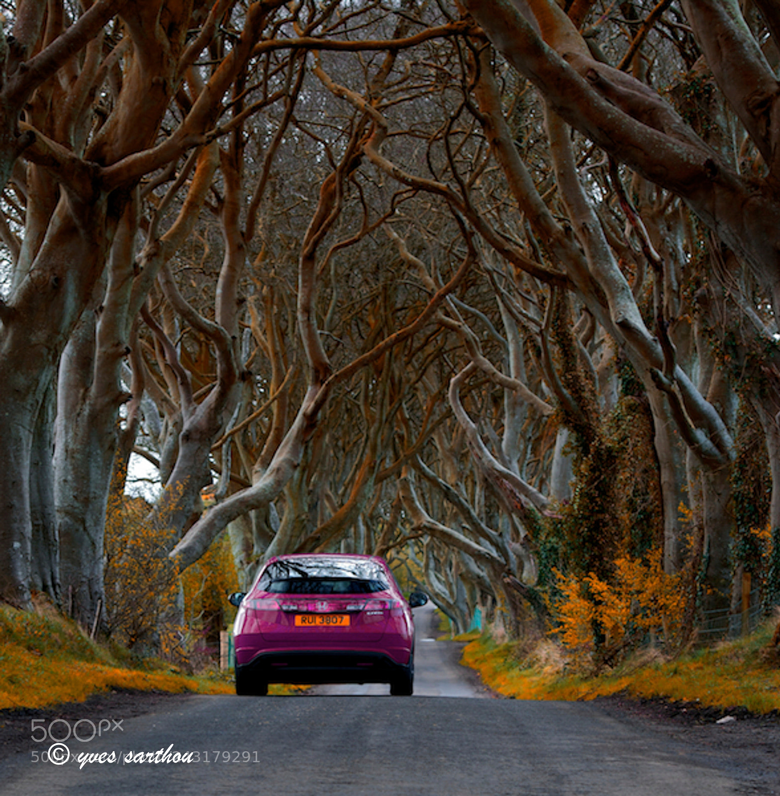 Nikon D90 sample photo. Gothic drive photography