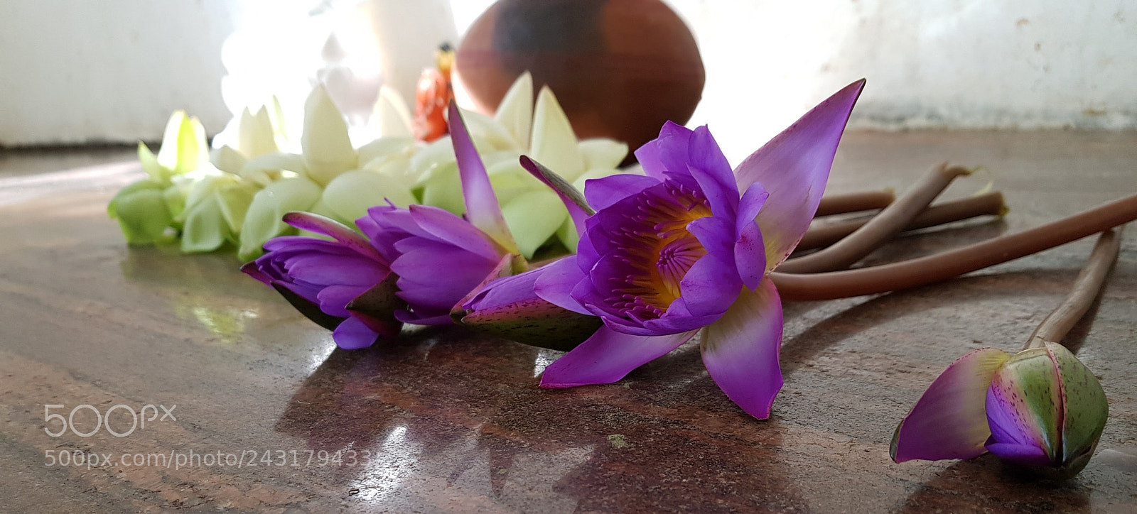 Samsung Galaxy S8+ sample photo. Close up photography