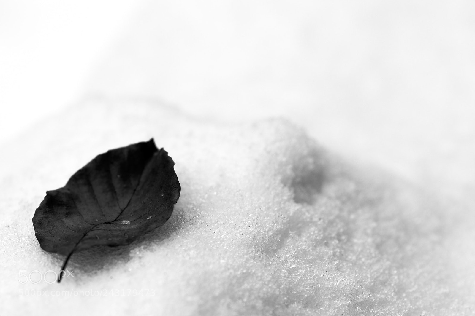 Canon EOS 77D (EOS 9000D / EOS 770D) sample photo. Snow photography