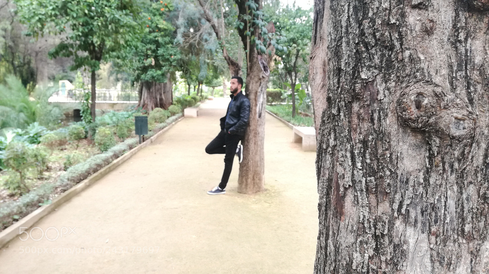 HUAWEI P9 LITE sample photo. Untitled photography