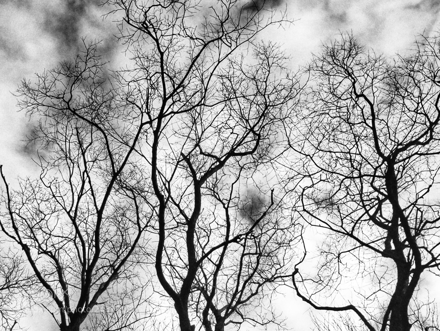 Samsung Galaxy S8+ sample photo. Abstract nature photography