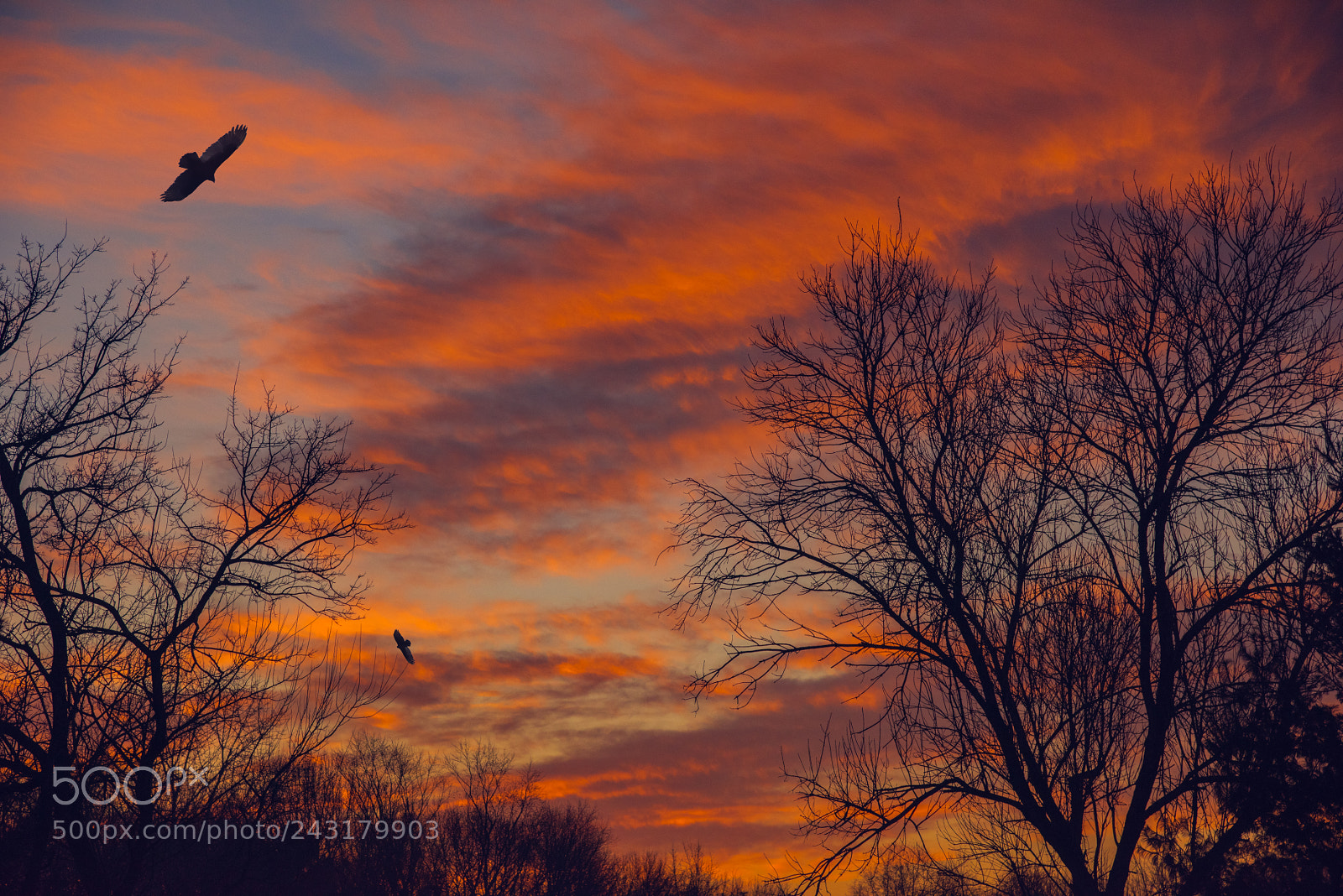 Nikon D810 sample photo. Burning sky photography