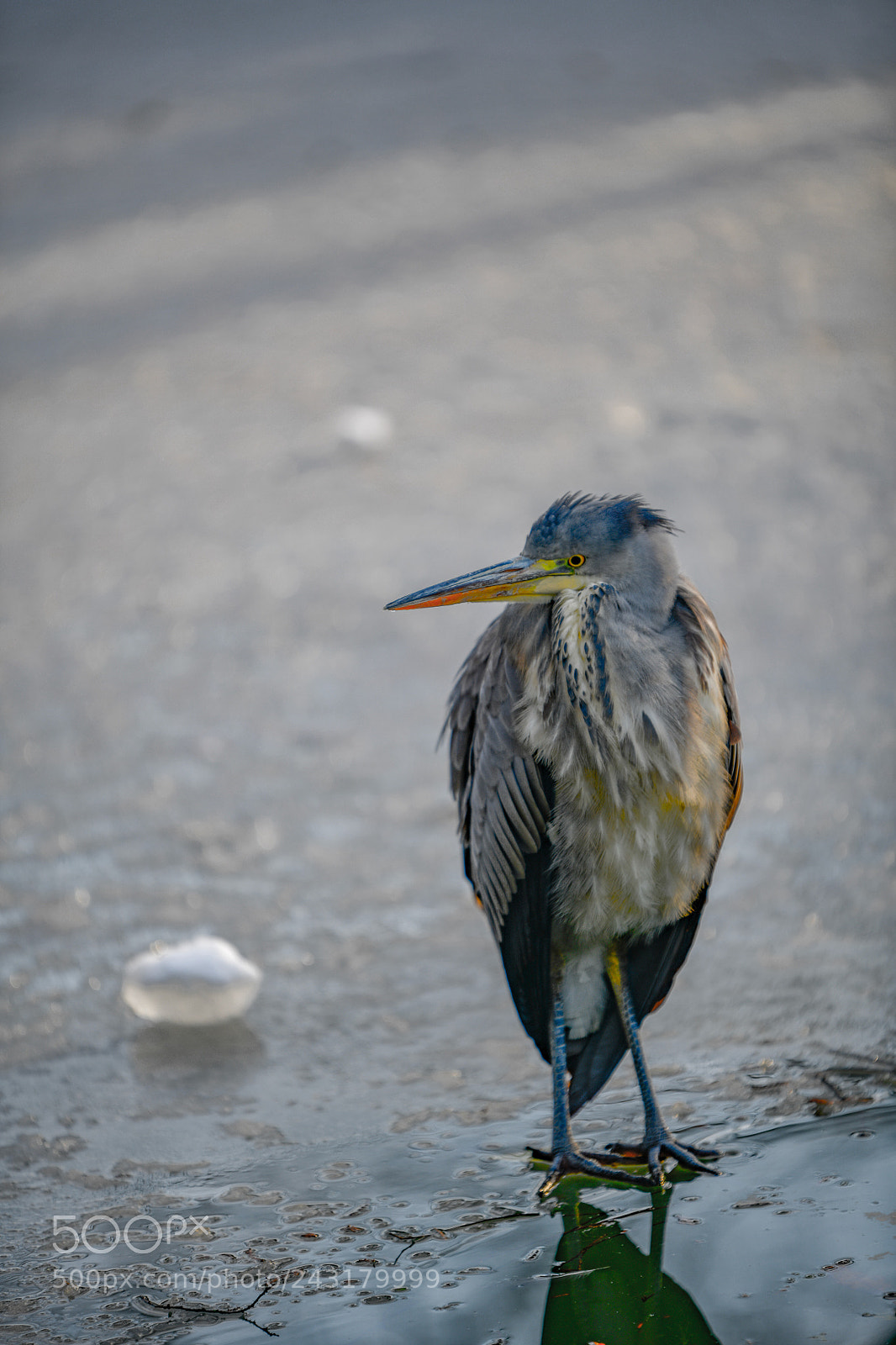 Nikon D850 sample photo. Nygårdsparken photography