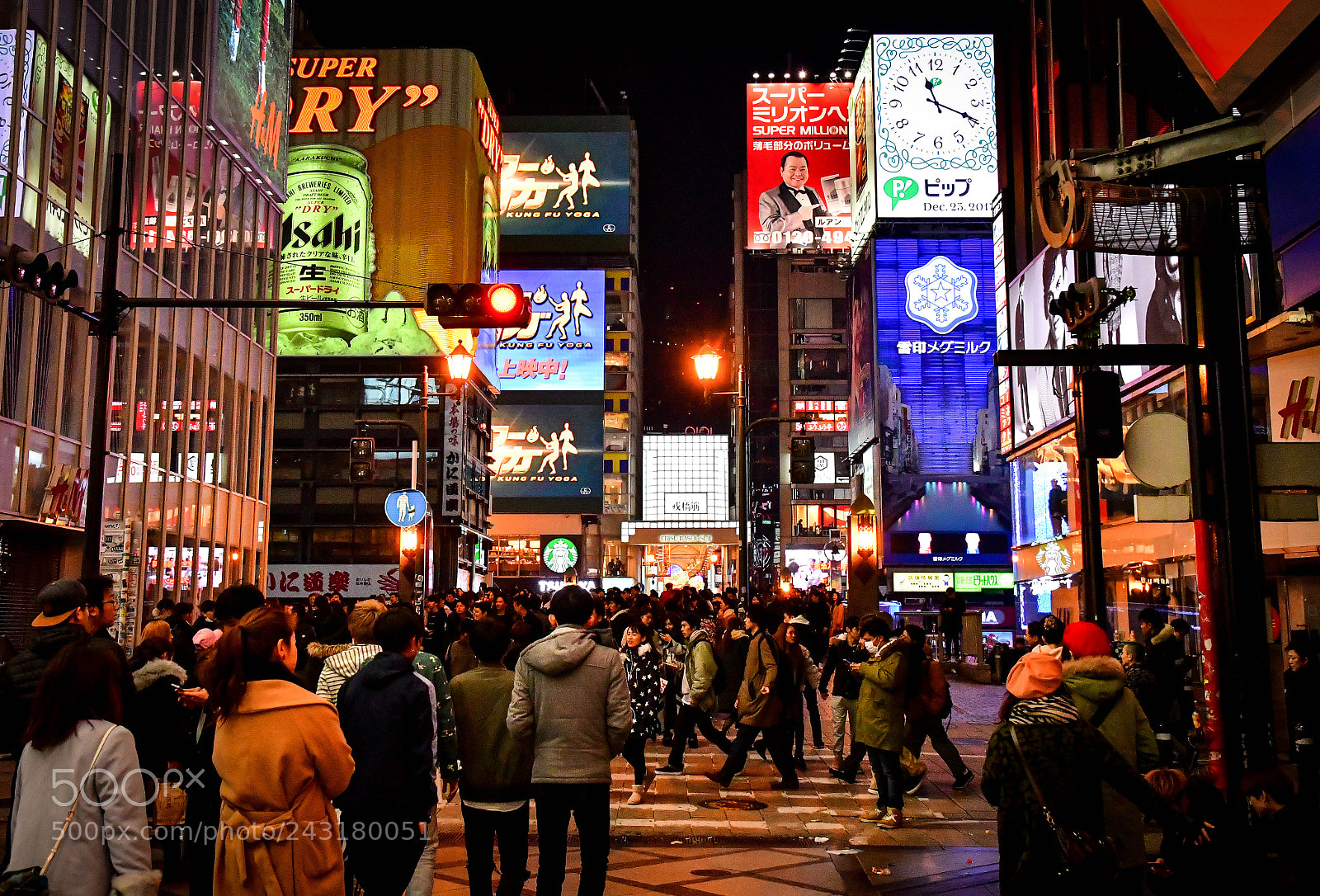 Nikon D500 sample photo. Dotonburi in december photography
