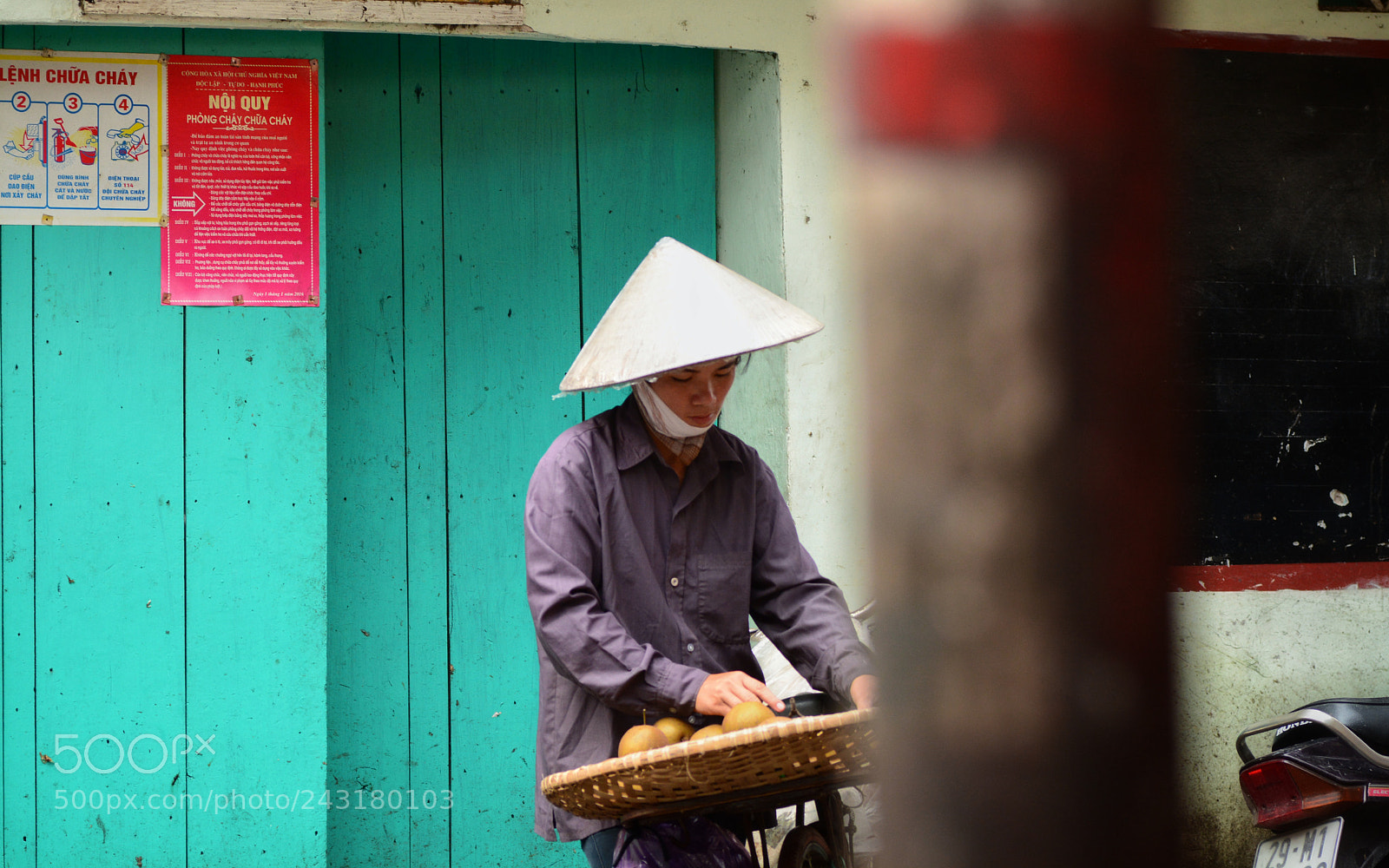 Nikon D7100 sample photo. Untitled photography