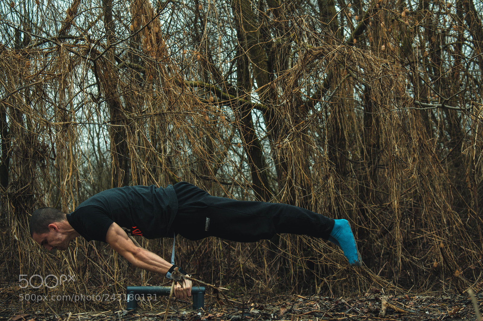 Nikon D3400 sample photo. Planche photography