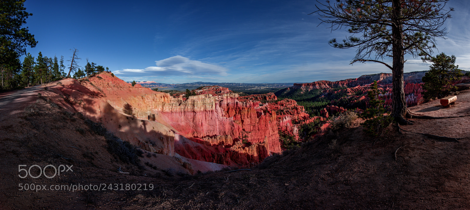 Nikon D810 sample photo. Bryce canyon national park photography