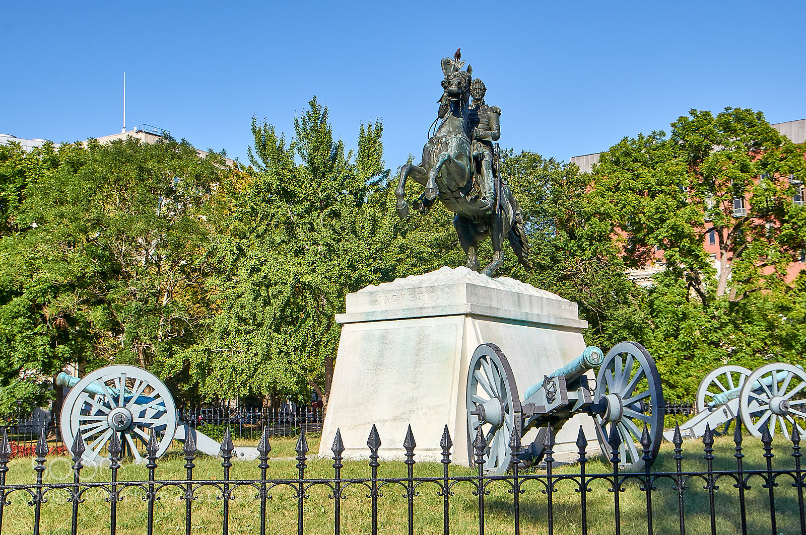 Nikon D90 sample photo. Washington & district photography