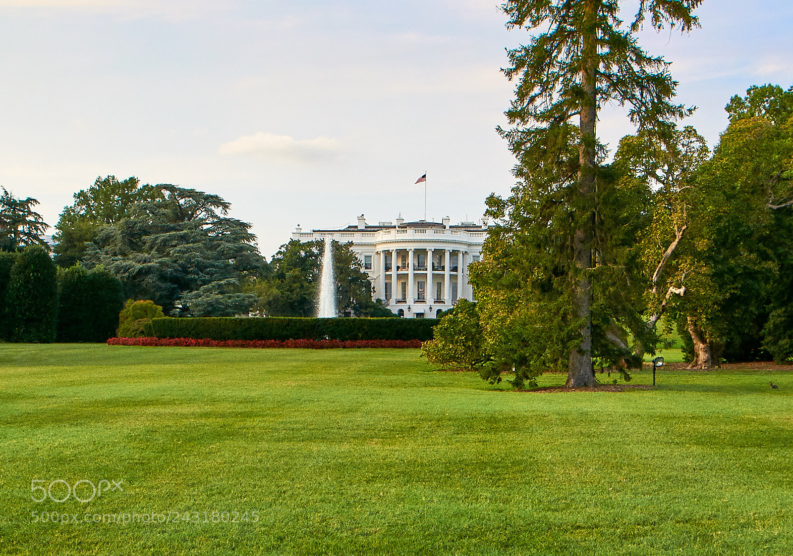Nikon D90 sample photo. Washington & district photography