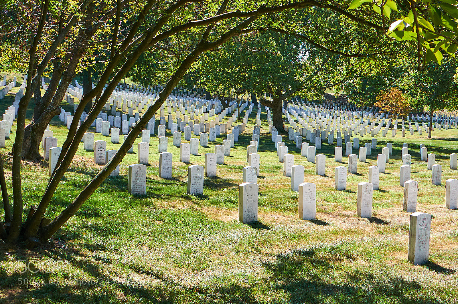Nikon D90 sample photo. Washington & district photography