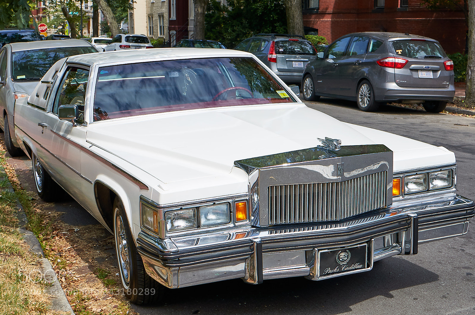 Nikon D90 sample photo. Washington & district photography