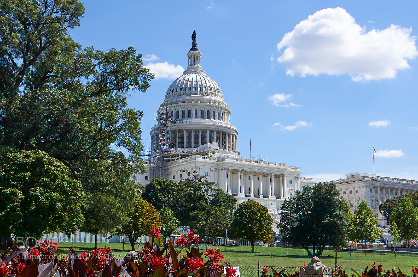 Nikon D90 sample photo. Washington & district photography