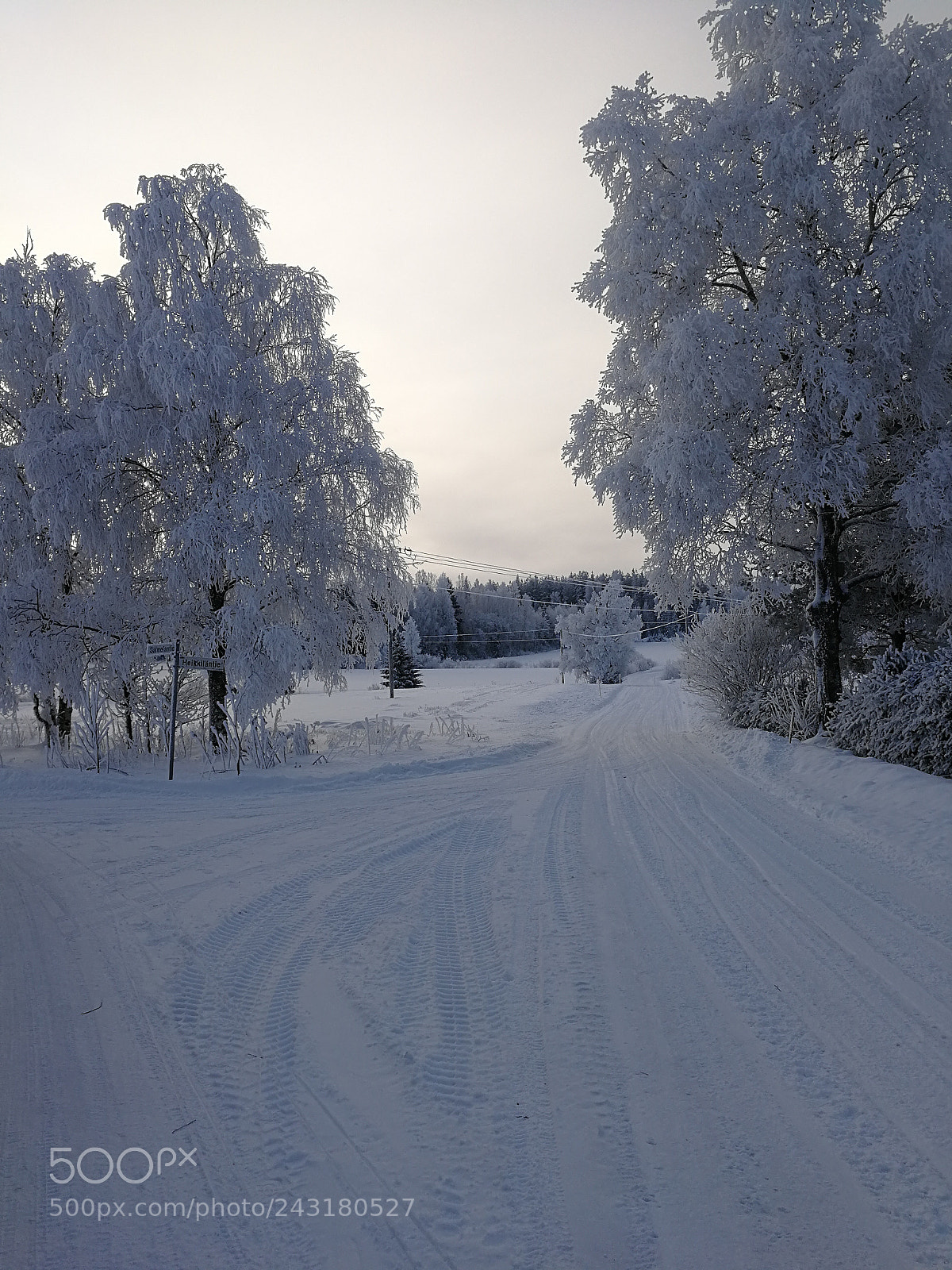 HUAWEI P10 sample photo. Winter is here photography