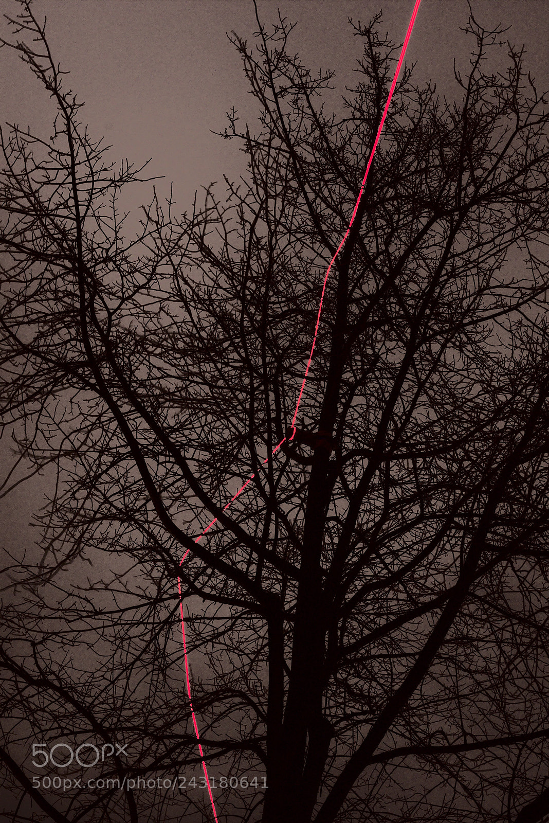 Canon EOS 6D + Canon EF 50mm F1.8 II sample photo. The red line photography