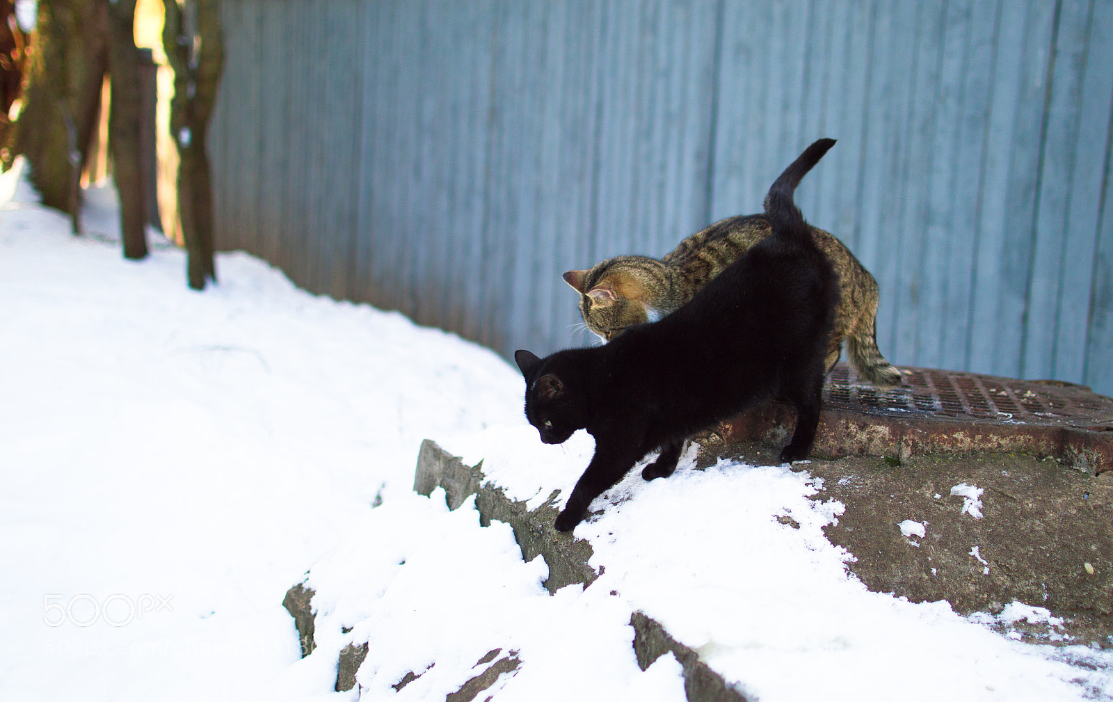 Nikon D3200 sample photo. Dear brother photography