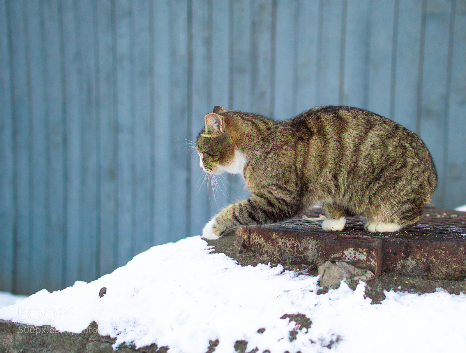 Nikon D3200 sample photo. Ready to go photography