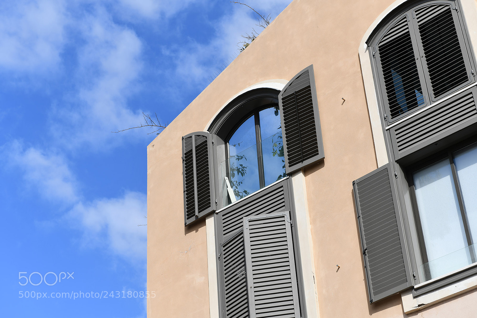 Nikon D850 sample photo. A day in tel photography