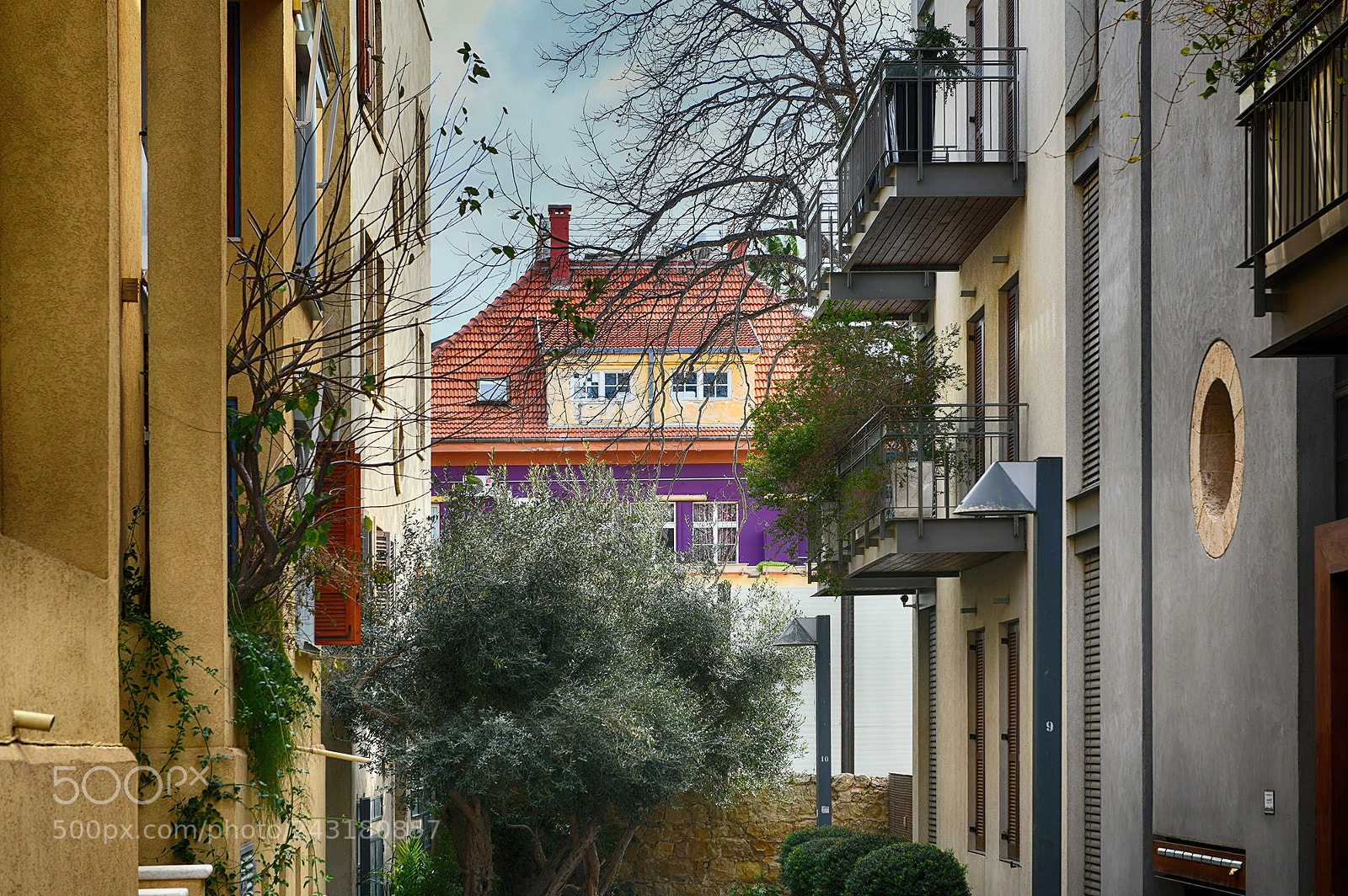 Nikon D850 sample photo. A day in tel photography