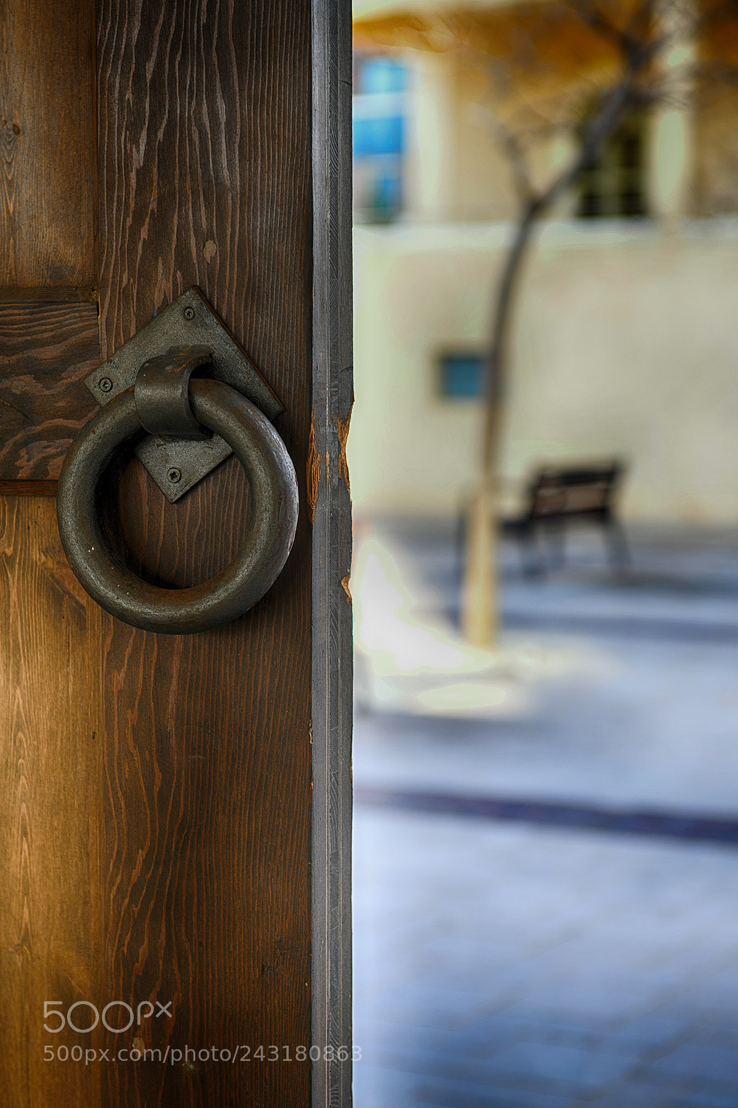 Nikon D850 sample photo. A day in tel photography