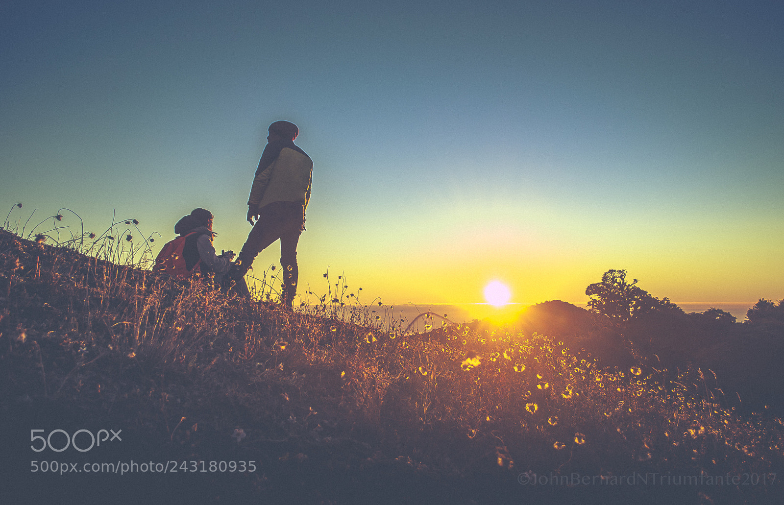 Nikon D60 sample photo. Sunset at mount victoria photography