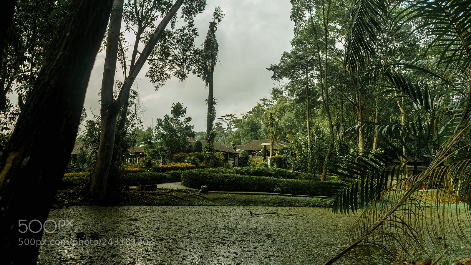 Sony a7 II sample photo. Closer to nature photography