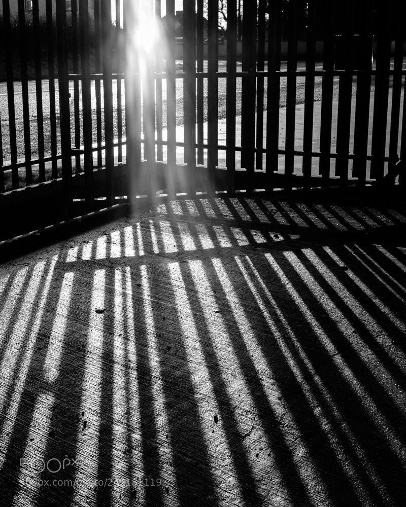 Fujifilm X100F sample photo. Shadows at the gates photography
