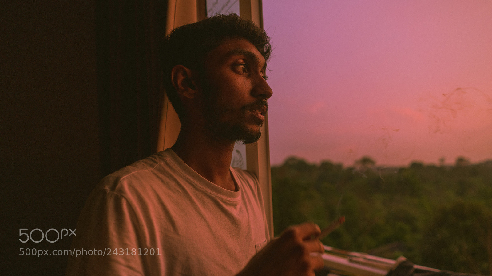 Sony a7 II sample photo. Vish photography