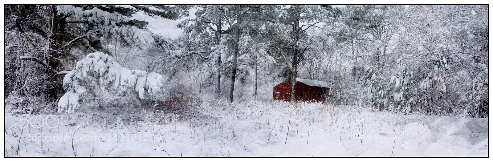 Nikon D7200 sample photo. Winter snow storm barn photography