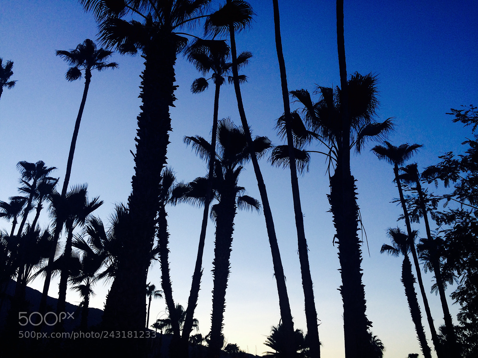 Apple iPhone 5s sample photo. Palm springs at sunset. photography