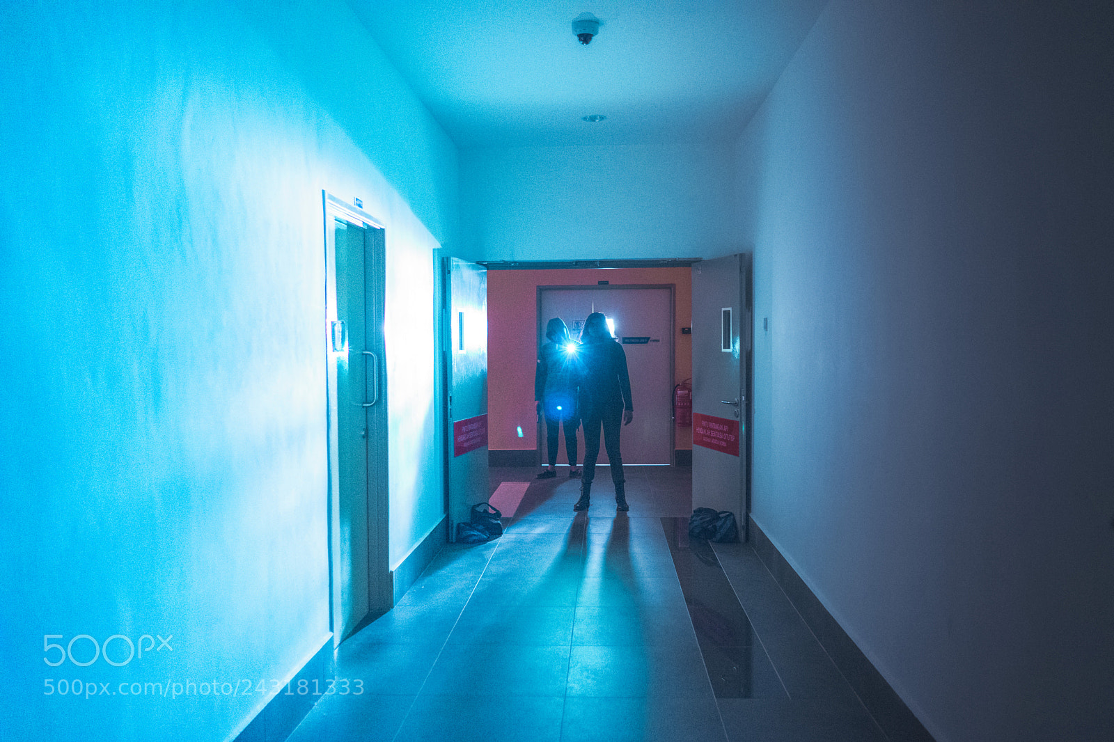 Sony a7 II sample photo. Lighting exercise photography