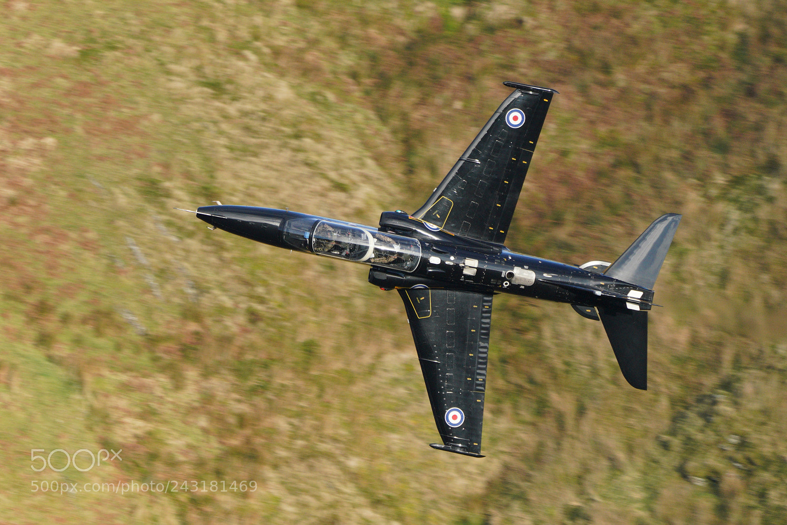 Sony a7R III sample photo. Hawk jet in the photography