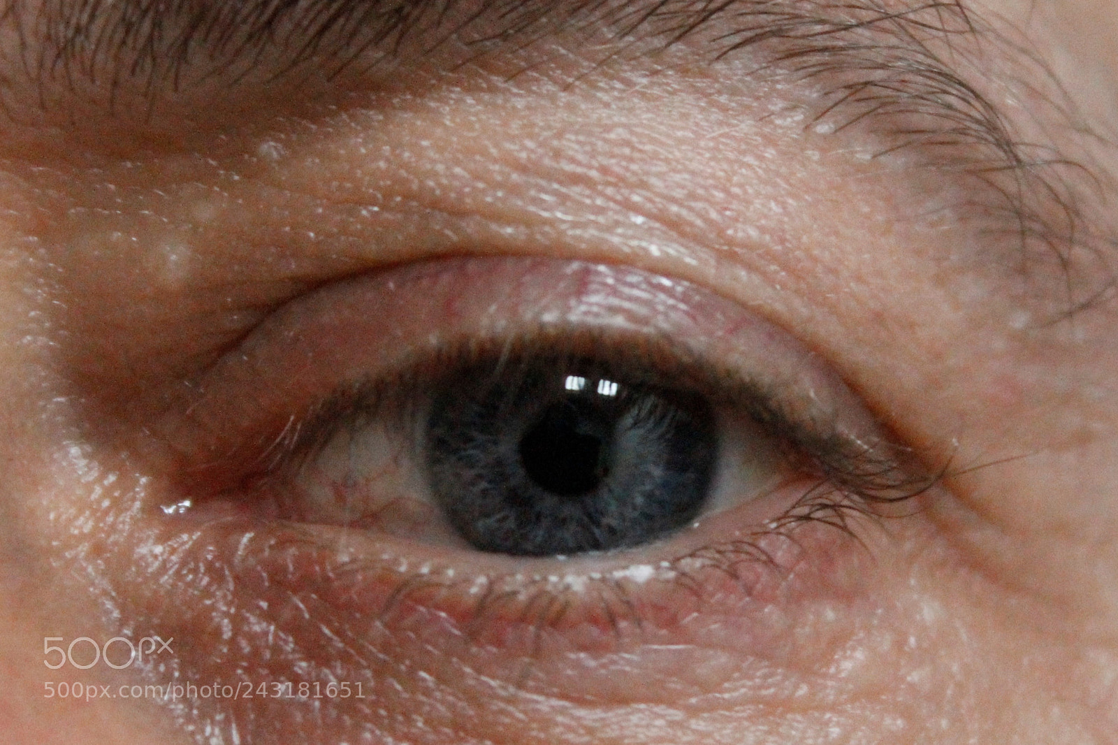 Canon EOS 1100D (EOS Rebel T3 / EOS Kiss X50) sample photo. Eyeshared photography