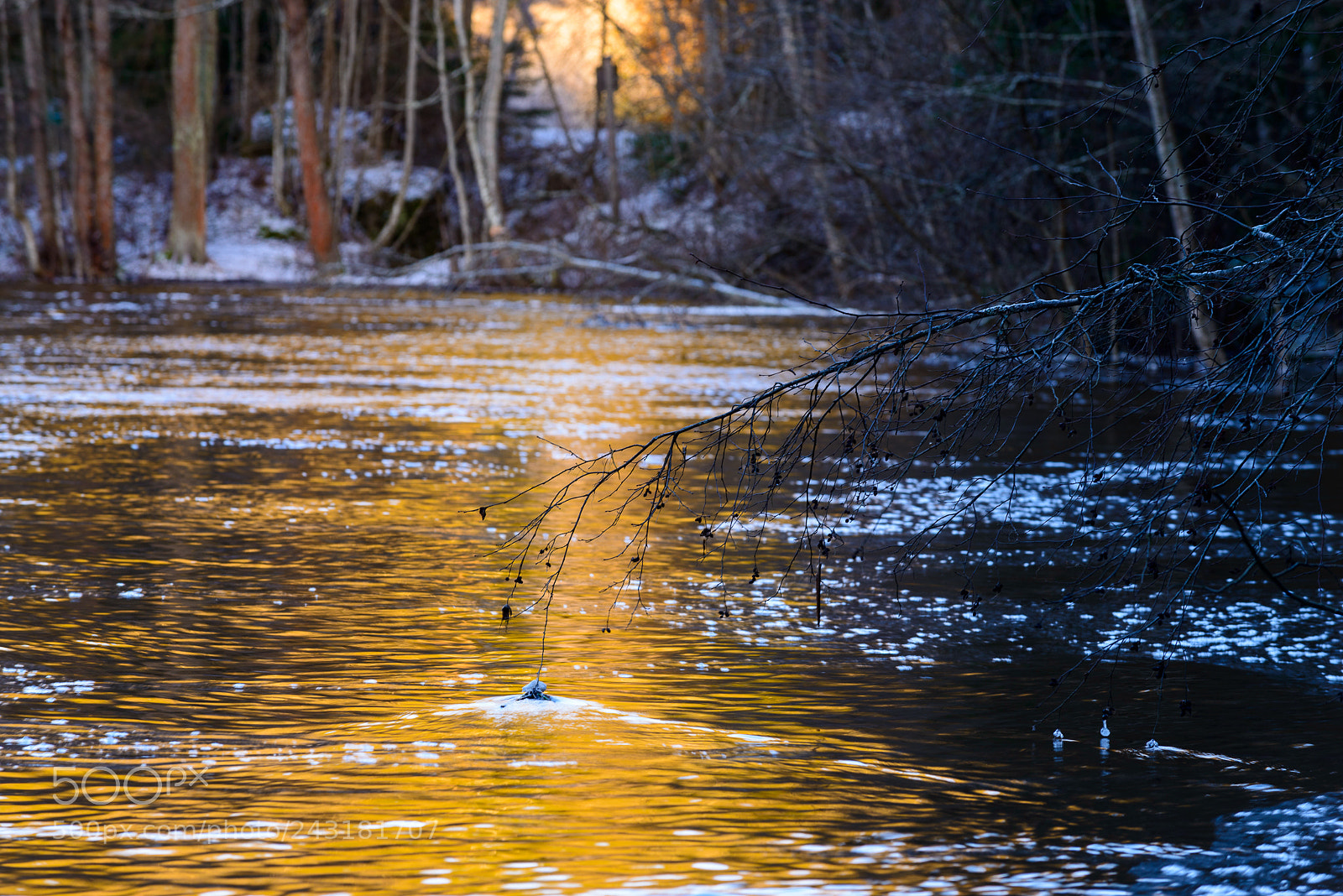 Nikon D800 sample photo. Gently photography