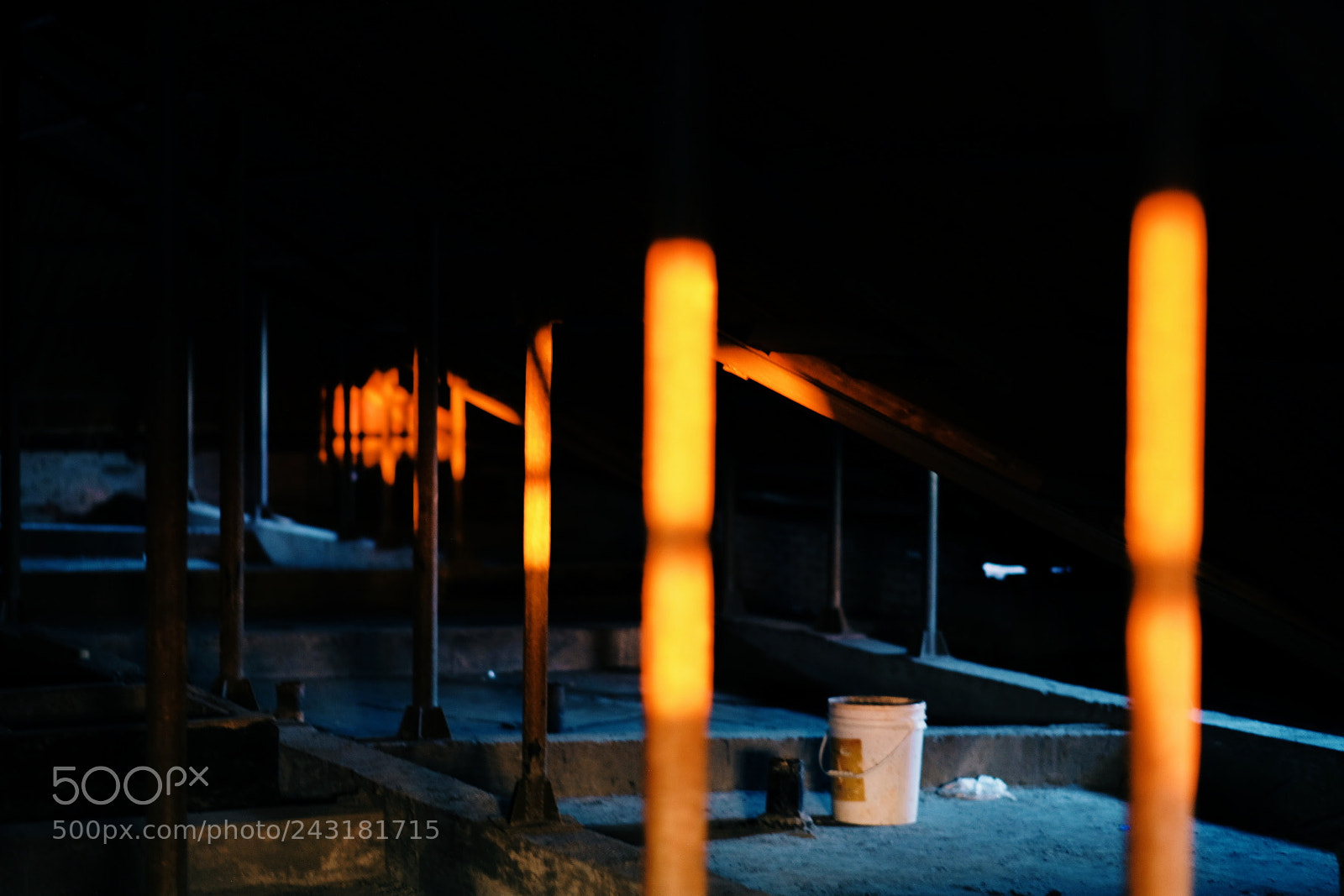 Fujifilm X-Pro2 sample photo. Sunlight photography