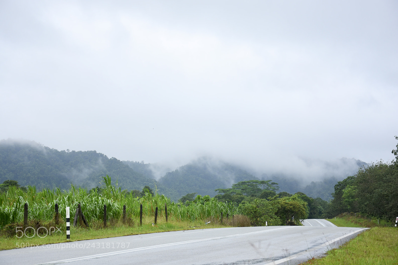 Nikon D7200 sample photo. Road to nowhere photography