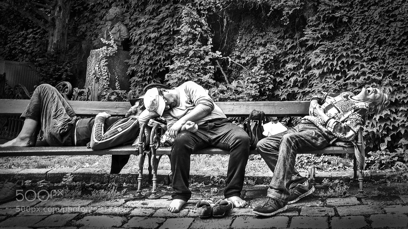 Nikon D800 sample photo. Afternoon siesta photography