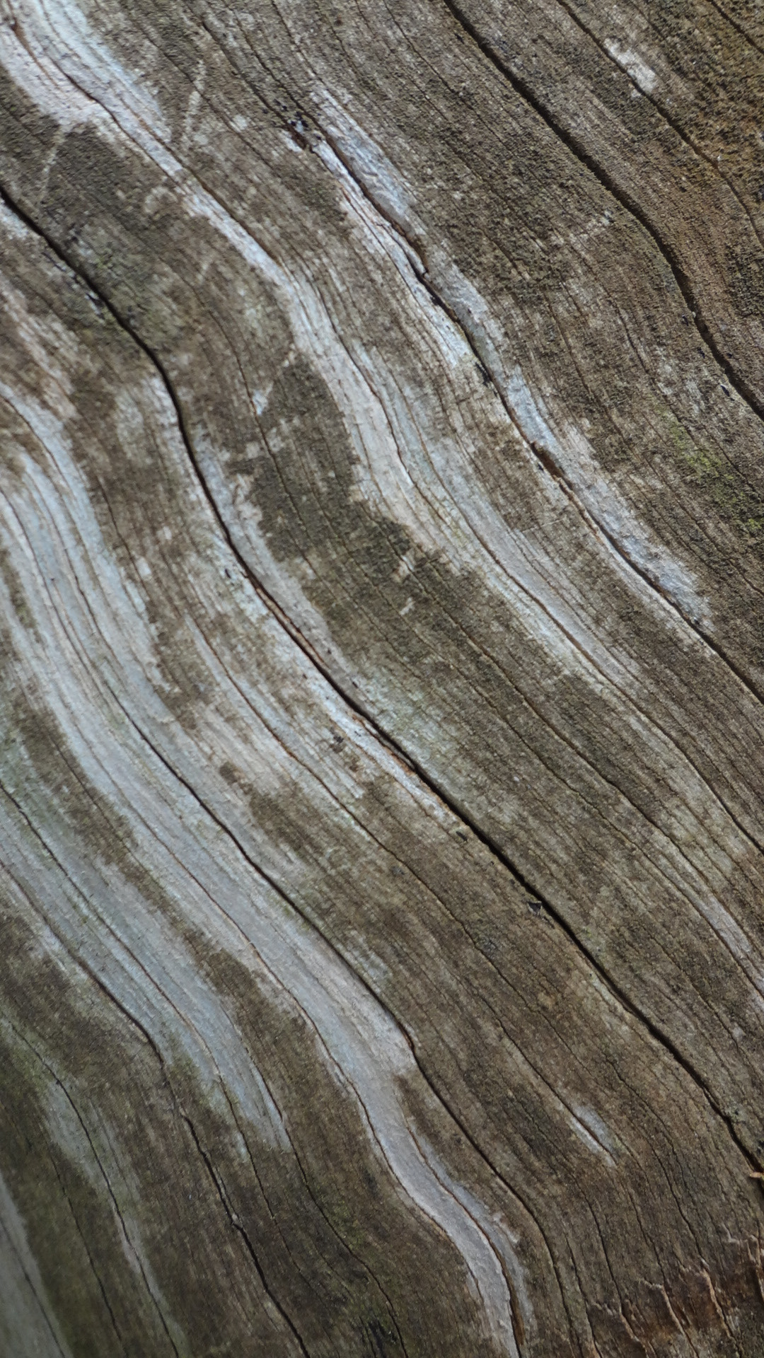 Sony DSC-WX7 sample photo. Abstract nature photography