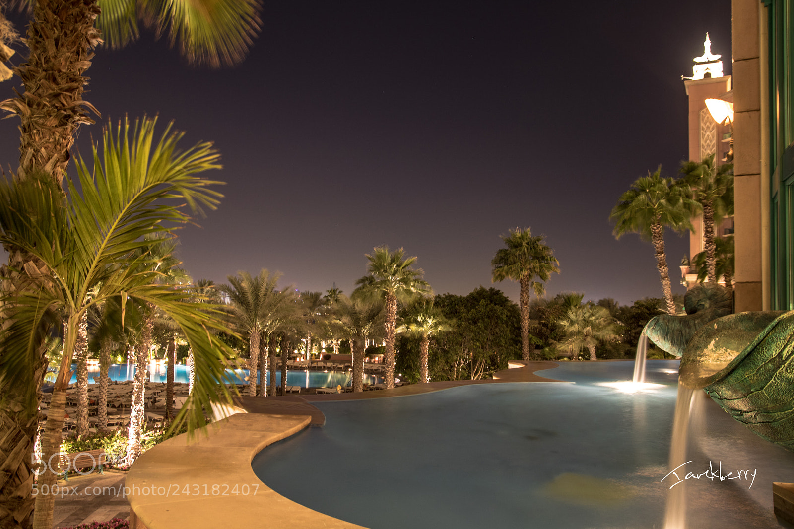 Canon EOS 760D (EOS Rebel T6s / EOS 8000D) sample photo. Sunset between the palms photography