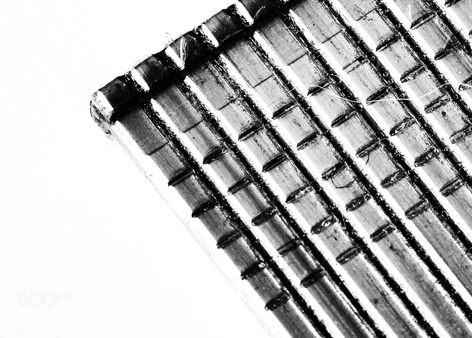 Olympus PEN-F sample photo. Tacker_nagel photography