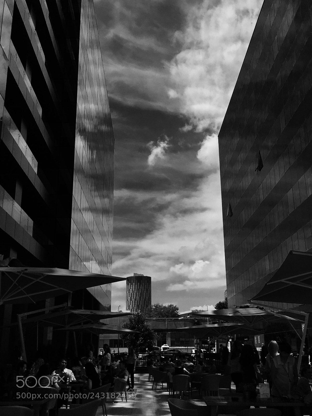 Apple iPhone 6s sample photo. Untitled photography