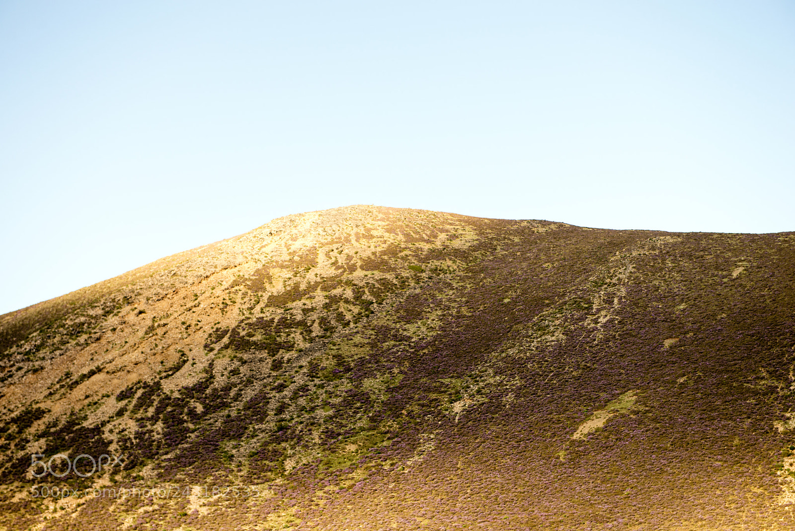 Nikon D600 sample photo. Surrealistic photography