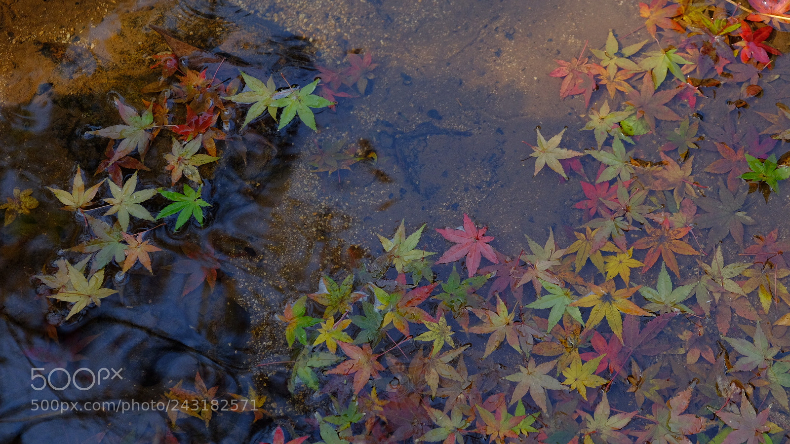 Fujifilm X-E2 sample photo. Untitled photography