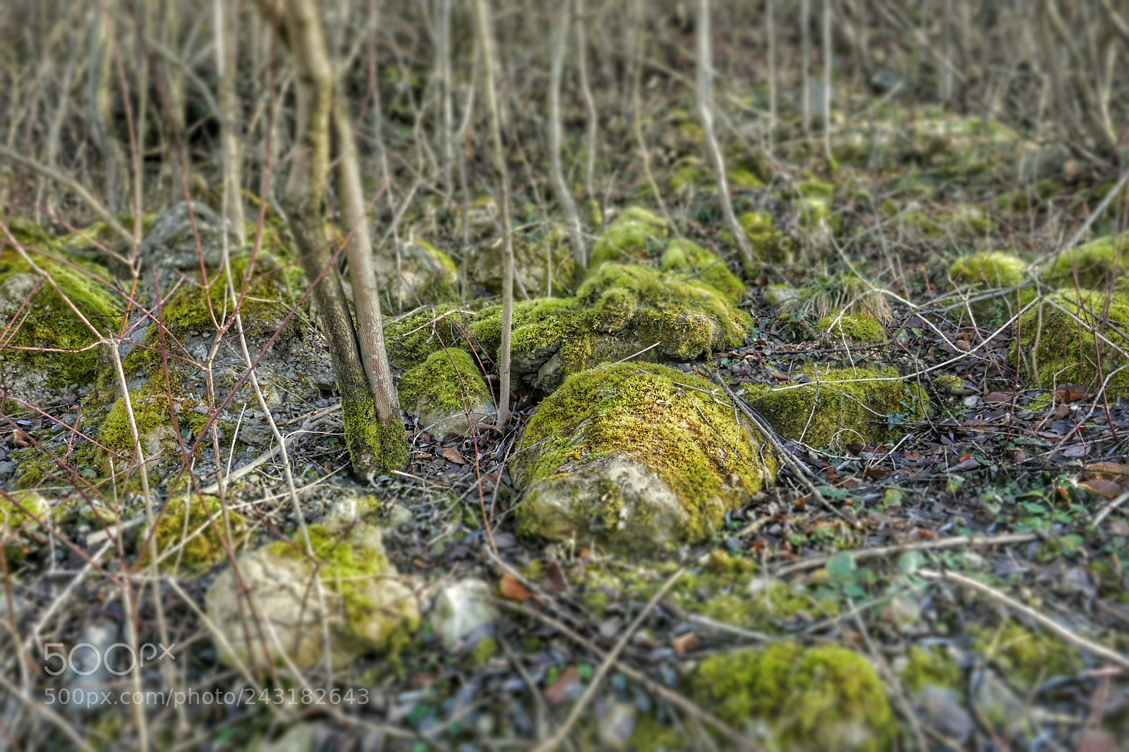 Panasonic Lumix DMC-ZS100 (Lumix DMC-TZ100) sample photo. Rocks photography