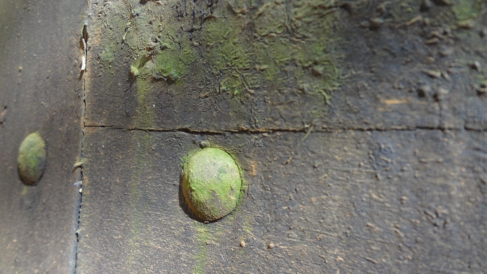 Sony DSC-WX7 sample photo. Abstract nature photography