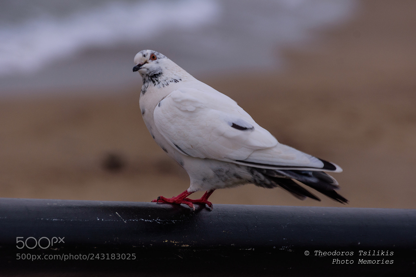 Nikon D7200 sample photo. Beauty in nature photography