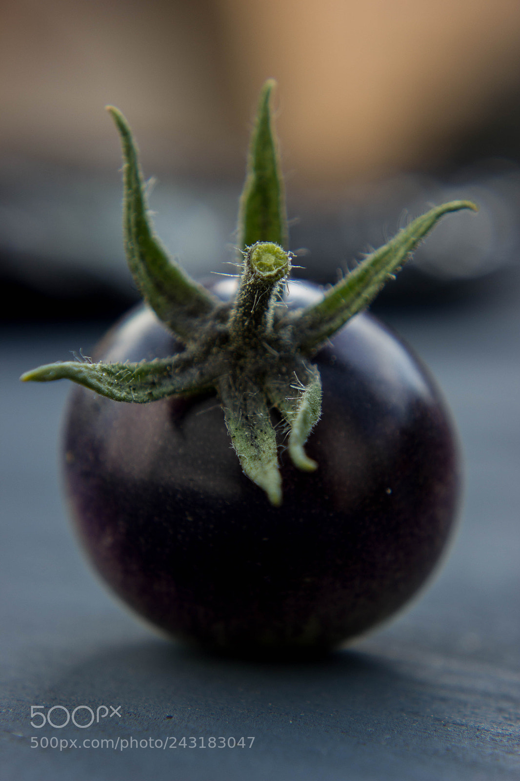 Canon EOS 550D (EOS Rebel T2i / EOS Kiss X4) sample photo. Schwarze tomate photography