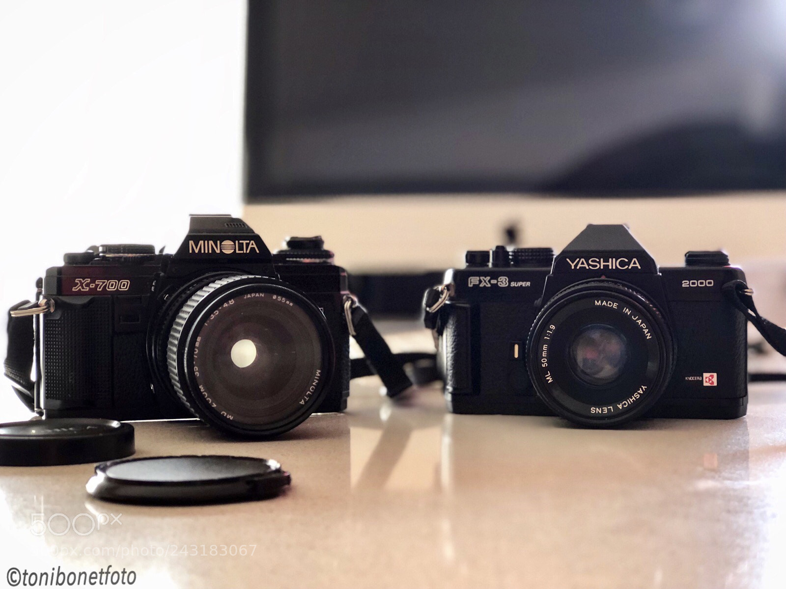 Apple iPhone 8 Plus sample photo. Untitled photography