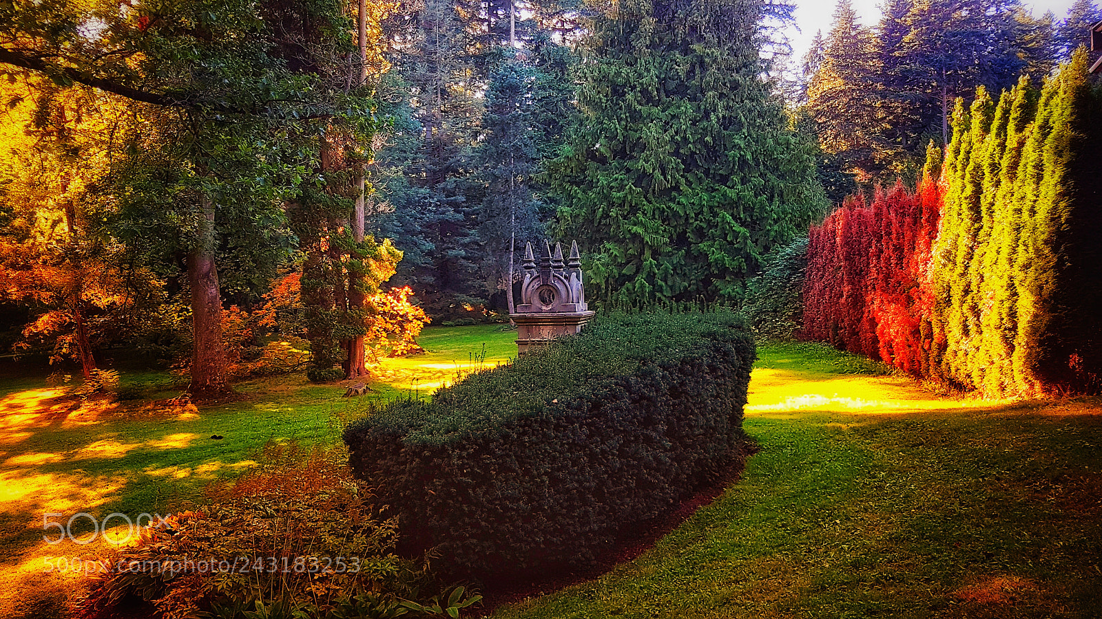 Samsung Galaxy S7 Edge sample photo. Garden in autumn photography