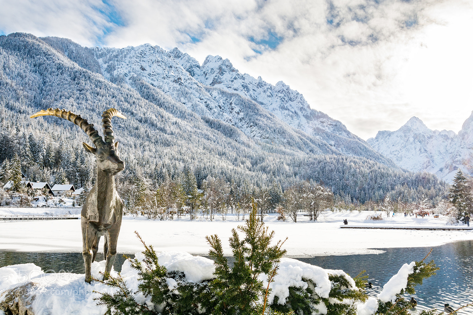 Nikon D7100 sample photo. Capricorn at lake jasna photography